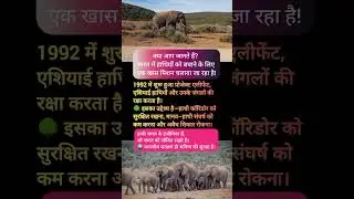 Project Elephant 🐘 | हाथी बचाओ, जंगल बचाओ | Wildlife Conservation India