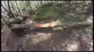 Mount Buller Epic Descent