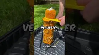 Dinge die Jungs tun wenn sie VERLIEBT sind