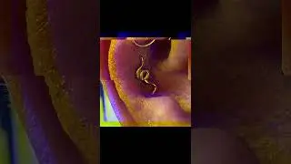 Conch piercing. #conchpiercing #bodypiercing #piercing #jacksonvillepiercing #piercerdraculallc