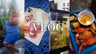 VLOG| UPDATE + Girls Date + Seafood Boil + Light Fish tank cleaning 