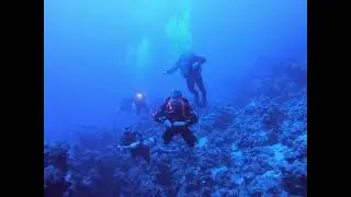 Blue Ocean Diving on Big Blue liveAboad Egypt 2024