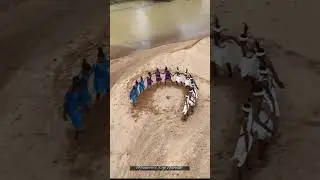 Bastariya Folk Dance #Bastar #amchobastar #bastarfolkdance #bastariyasong
