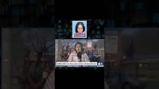 Deranged Woman Arrested For Xmas Hate Crime...#shebritneycolbert