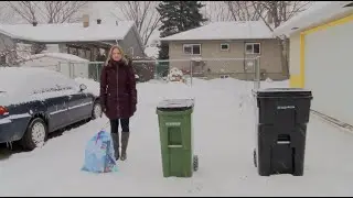 Waste Services | WasteWise Moment - Setting Out Carts in the Alley