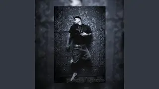 Stupid Funny Cool