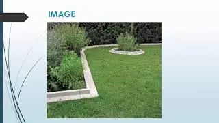 Best Lawn Edging in Jesmond