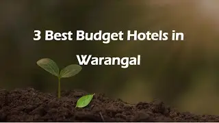 3 Best Budget hotels in Warangal, Telangana 2025 | Economy hotels