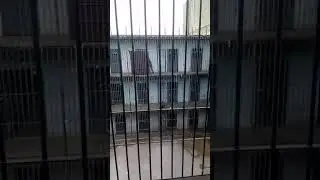 Asi estan en el comcar donde estan los derechos umanos de uruguay que verguexa