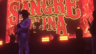 Sangre Felina - En San Antonio Acatepec Zoquitlan Puebla 2023 (Parte 2)