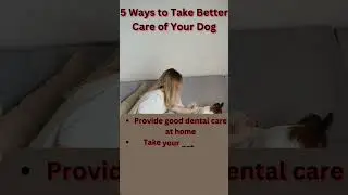 5 Expert Tips for Caring for Your Furry Best Friend