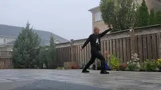 Master Eric Chu 朱建霖師傅，(Choy Lee Fut) Fut Cheng Lin Warn Kuen (蔡李佛)佛掌連環拳