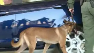 Not all smuggling attempts get stopped at border checkpoints