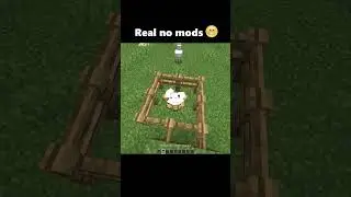 No Mods