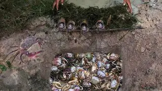 Top 5 video 2022 Amazing Man Make 5 Fish Trap Crab Trap & Eel Trap in Cambodia