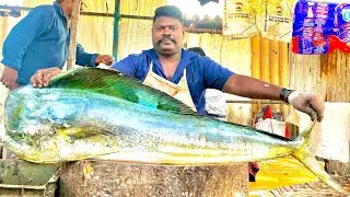 KASIMEDU SPEEDSELVAM BIG SIZE MAGI MAGI FISH CUTTING VIDEO #kasimeduselvam #fishcutting 