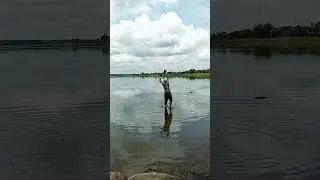King of angler #bigrahumirugalfishing #hantrefishing #bigfish #trendingshorts #trendingvideo