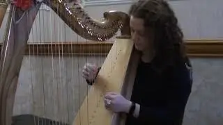 HARP Progress after 2 lessons - Студента Академії мистецтв після 2-х уроків грає 