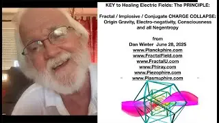 KEY to Healing Electric Fields: The PRINCIPLE:Fractal / Implosive / Conjugate CHARGE COLLAPSE