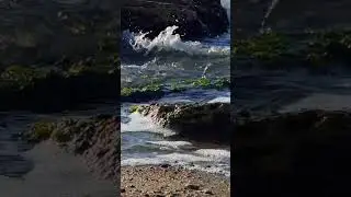 Морская терапия  #asmr #море #shorts