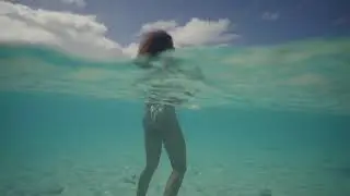Shakedown - At Night (Blonde Version)