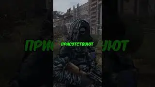ЧТО ЕСТЬ на НОВОМ STALKER проекте ? #dayz #дейз #stalker
