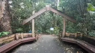 Baroon Lookout | Sunshine coast Hinterland | places to see in sunshine coast