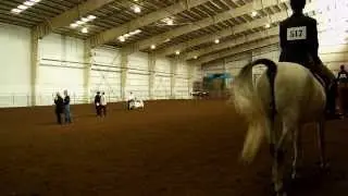 English Pleasure Riding Competition ! (1)