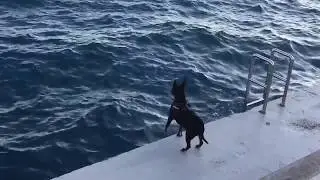 Bronte in Monaco / Бронти в Монако, 18.01.2018