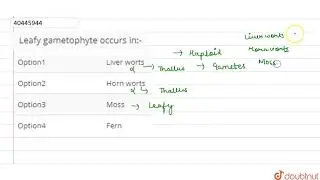 Leafy gametophyte occurs in:-