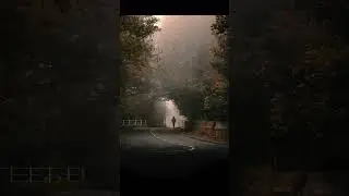 I am just a photographer who likes foggy photos