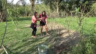 PLANTEI E COLHI ABÓBORA/ FIZ COCADINHA MOLE/ MINHA SOBRINHA VEIO GRAVAR COMIGO