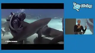 Shark World - Shark Expert Christina Zenato talks at the GO Diving Show #scuba #sharks