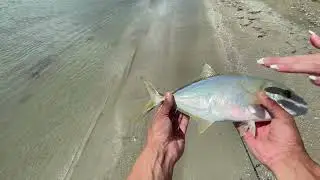 puerto rico fishing!!!