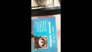 Vlogging in PetCo W/Music Added