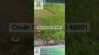 Dịch vụ cắt cỏ ph&aacute;t hoang Đồng Nai, TPHCM #catco