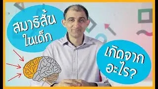 Frontal Lobe (5/6) สมองส่วนที่ควบคุมสมาธิและ Executive Function 5/6 | BrainFit Studio