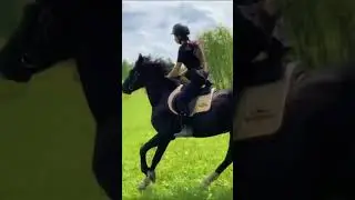 #horse #врек #марина #Тесса #Хардюша #Дневник_конноблогера #Лошадимояжизнь