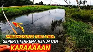 UMPAN KILLER | TEKNIK DAN CARA GUNA SPINNERBAIT | CASTING HARUAN SABAK BERNAM