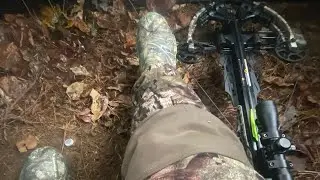 Hunting With Center Point  Patriot 415 (awesome whitetail encounters)