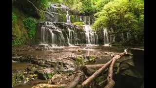 New Zealand Forest | Nature Soundscape | Calming | Background Music | 10 Hours | Deep Deep Breaths |