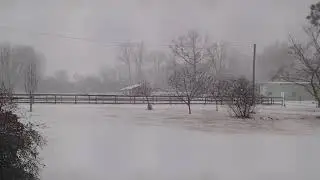 NHS  East NC Stables Snow Look Up