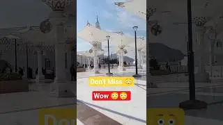 beautiful moment 😱 Dont Miss video #shorts #youtubeshorts