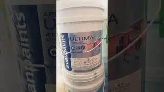 Asian paint exterior paint Apex Ultima bucket with price