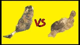 🏝🇮🇨🏝VIVIR EN FUERTEVENTURA O VIVIR EN LANZAROTE, CUÁL ES MEJOR? / ISLAS CANARIAS