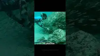 Это невероятное происшествие спасло его