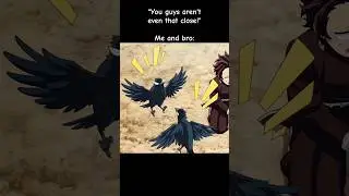 #kny I love the crows😭🙏 #demonslayer #kimetsunoyaiba #crow #kasugai #anime #fyp #hashiratrainingarc