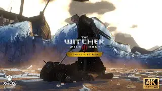 Witcher 3: Geralt Vs Caranthir Boss Fight/No Signs/No Potions/No Bombs/No Damage/NG+/Death March