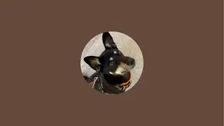 1/28 (水)20時〜ネパール野良犬支援ライブ✨