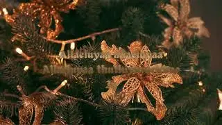 Unnadha Devanukke Magimai- TPM|Cover|Grace Gethsiba S|12 DAYS OF CHRISTMAS=12 SONGS(Part03)🌲🎁